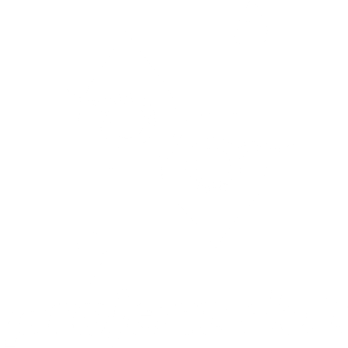 Project Logo